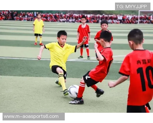 畅享精彩体育足球直播体验尽在掌握中尽情感受每一场比赛的热血与激情